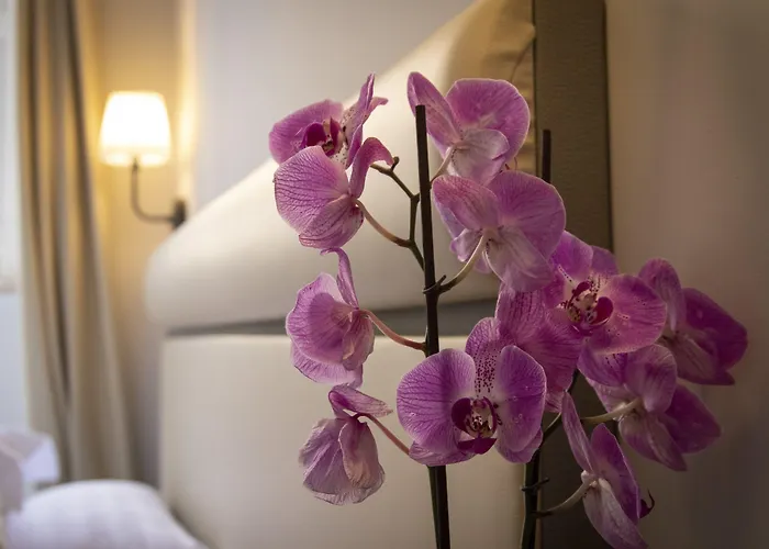 Guest house Seven 4*