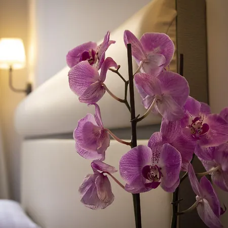 Casa de hóspedes Seven 4*